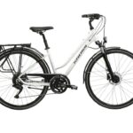 Rower Trans 5.0